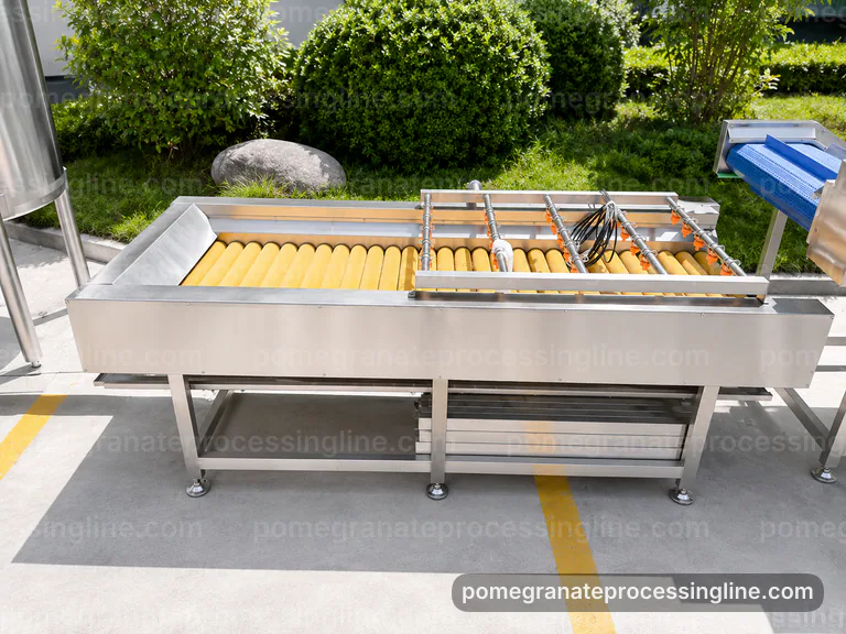 industrial pomegranate juice line, plant integration: pomegranate aril separator connection view