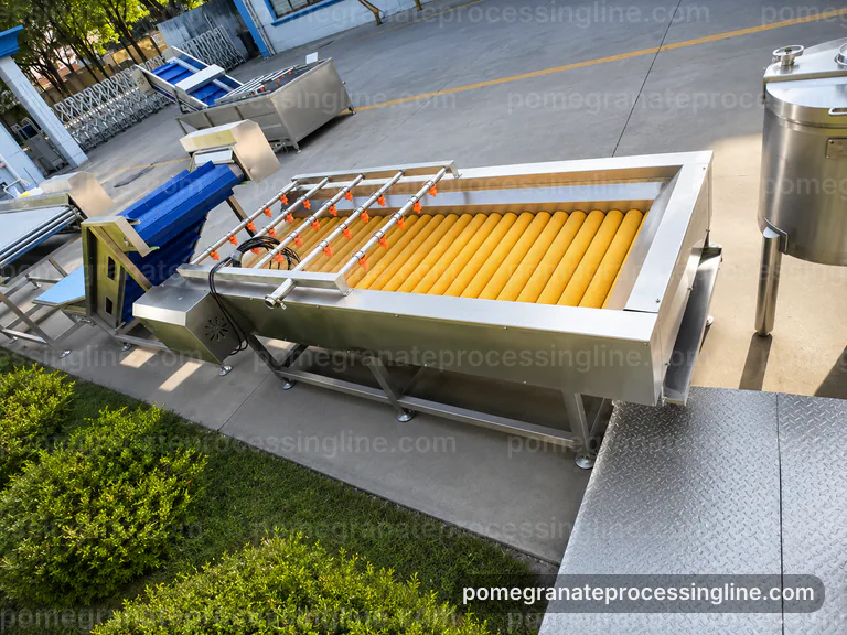 industrial pomegranate juice line, process sequence: pomegranate aril separator connection view