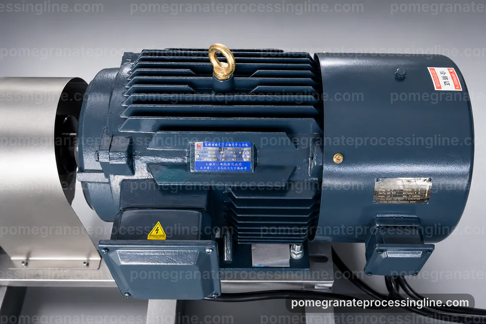 industrial pomegranate juice line, performance troubleshooting: gentle aril pressing section operating stage