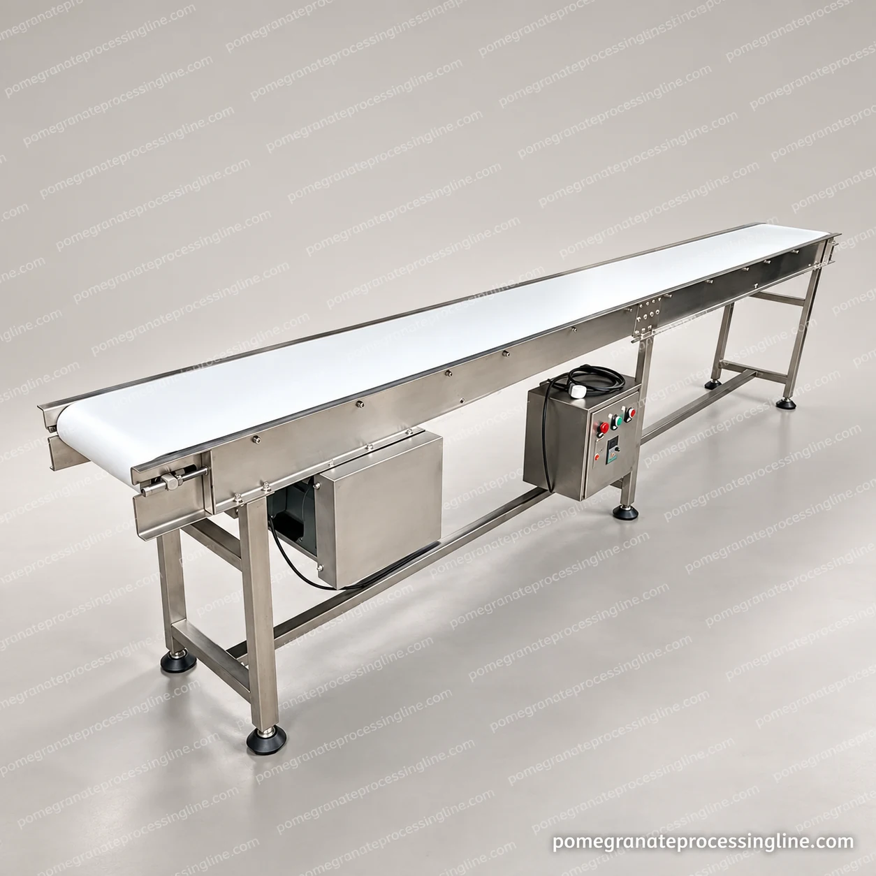 Long narrow flat-belt conveyor with stainless side rails, adjustable feet, a covered drive and separate control box